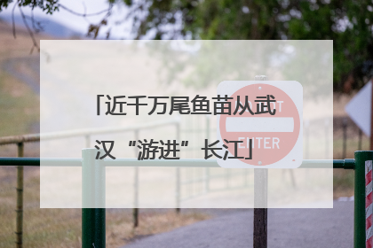 近千万尾鱼苗从武汉“游进”长江