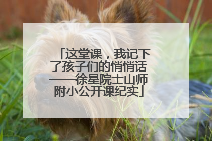 这堂课，我记下了孩子们的悄悄话——徐星院士山师附小公开课纪实