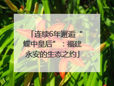 连续6年邂逅“蝶中皇后”：福建永安的生态之约