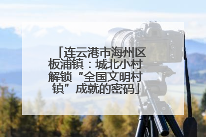 连云港市海州区板浦镇：城北小村解锁“全国文明村镇”成就的密码