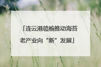 连云港赣榆推动海苔老产业向“新”发展