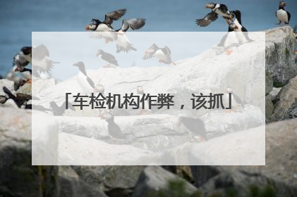 车检机构作弊，该抓
