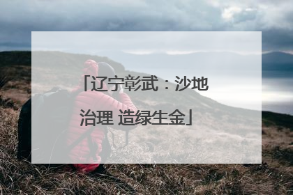 辽宁彰武：沙地治理 造绿生金