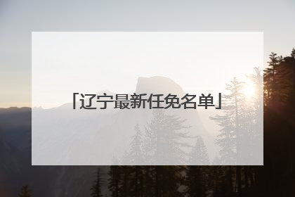辽宁最新任免名单