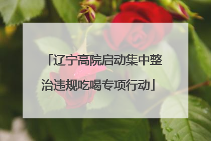 辽宁高院启动集中整治违规吃喝专项行动