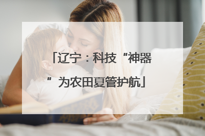 辽宁：科技“神器”为农田夏管护航