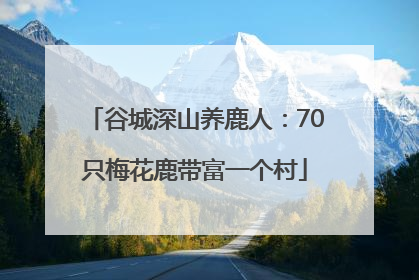 谷城深山养鹿人：70只梅花鹿带富一个村