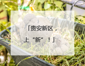 贵安新区，上“新”！