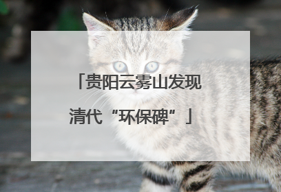 贵阳云雾山发现清代“环保碑”