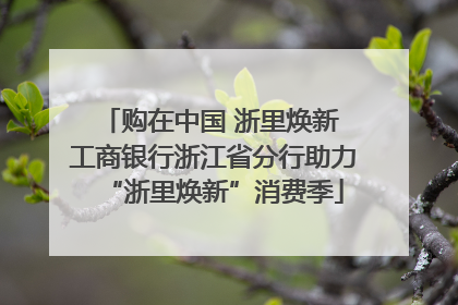 购在中国 浙里焕新 工商银行浙江省分行助力“浙里焕新”消费季