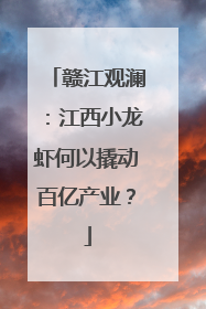 赣江观澜：江西小龙虾何以撬动百亿产业？