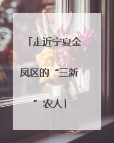 走近宁夏金凤区的“三新”农人