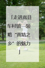 走进嵩县车村镇—领略“黄精之乡”的魅力
