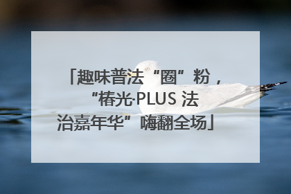 趣味普法“圈”粉，“椿光·PLUS 法治嘉年华”嗨翻全场