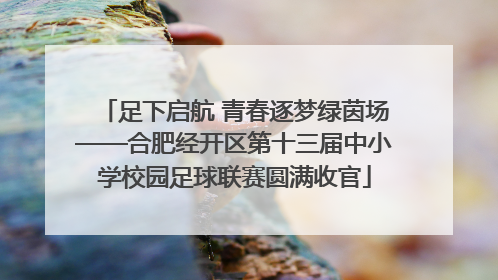 足下启航 青春逐梦绿茵场——合肥经开区第十三届中小学校园足球联赛圆满收官