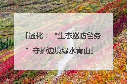 通化：“生态巡防警务”守护边境绿水青山