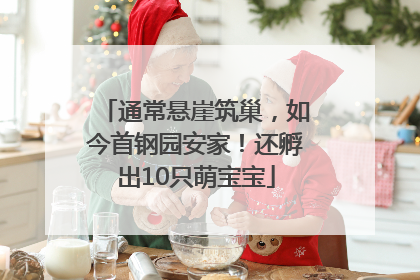 通常悬崖筑巢，如今首钢园安家！还孵出10只萌宝宝