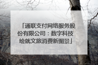 通联支付网络服务股份有限公司：数字科技绘就文旅消费新图景