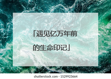 遇见亿万年前的生命印记