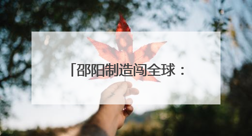 邵阳制造闯全球：三大产业借力跨境电商“乘风出海”