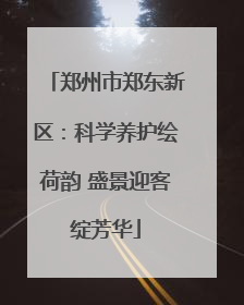 郑州市郑东新区：科学养护绘荷韵 盛景迎客绽芳华