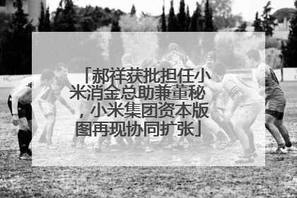 郝祥获批担任小米消金总助兼董秘，小米集团资本版图再现协同扩张