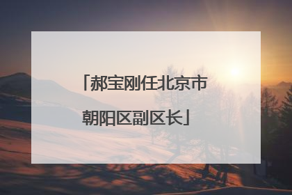 郝宝刚任北京市朝阳区副区长