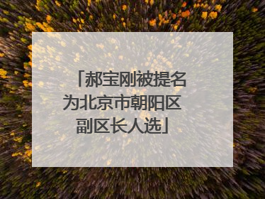 郝宝刚被提名为北京市朝阳区副区长人选