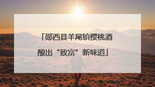 郧西县羊尾镇樱桃酒酿出“致富”新味道