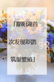 鄱阳湖首次发现彩鹮筑巢繁殖