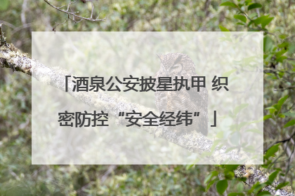 酒泉公安披星执甲 织密防控“安全经纬”