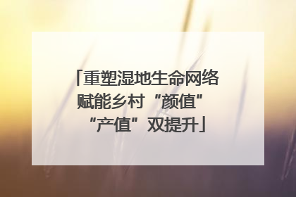 重塑湿地生命网络 赋能乡村“颜值”“产值”双提升