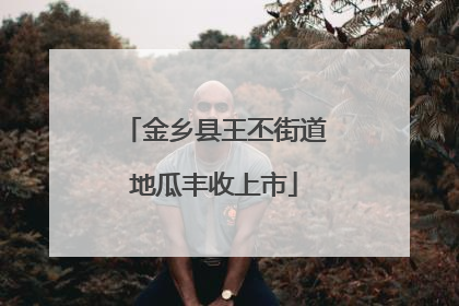 金乡县王丕街道地瓜丰收上市