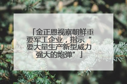 金正恩视察朝鲜重要军工企业，指示“要大量生产新型威力强大的炮弹”