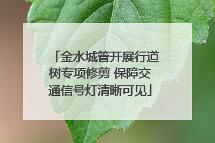 金水城管开展行道树专项修剪 保障交通信号灯清晰可见