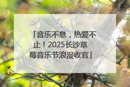 音乐不息，热爱不止！2025长沙草莓音乐节浪漫收官