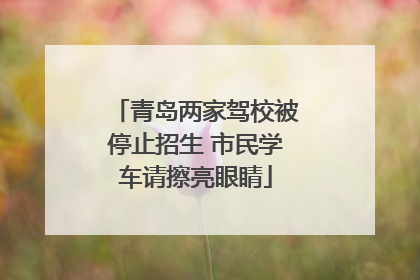 青岛两家驾校被停止招生 市民学车请擦亮眼睛