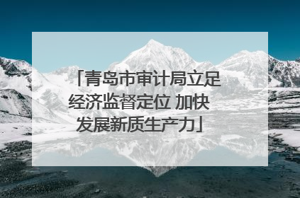青岛市审计局立足经济监督定位 加快发展新质生产力