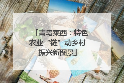 青岛莱西：特色农业“链”动乡村振兴新图景