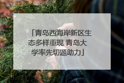 青岛西海岸新区生态多样重现 青岛大学率先切题助力