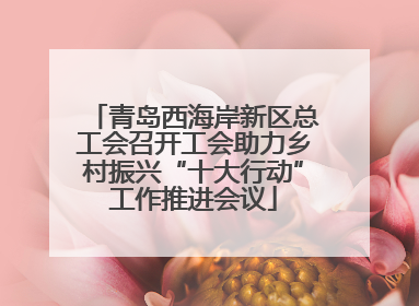 青岛西海岸新区总工会召开工会助力乡村振兴“十大行动”工作推进会议