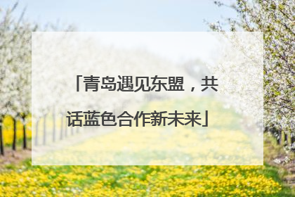 青岛遇见东盟，共话蓝色合作新未来
