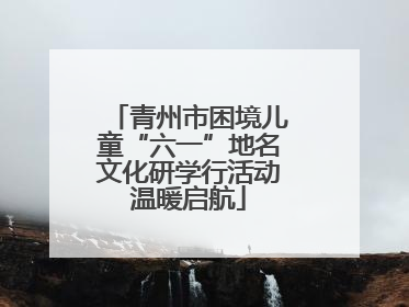青州市困境儿童“六一”地名文化研学行活动温暖启航