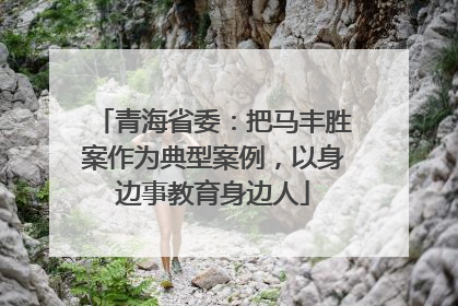 青海省委：把马丰胜案作为典型案例，以身边事教育身边人