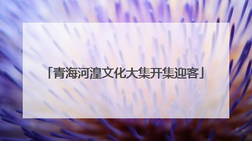 青海河湟文化大集开集迎客