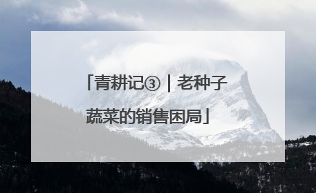 青耕记③｜老种子蔬菜的销售困局