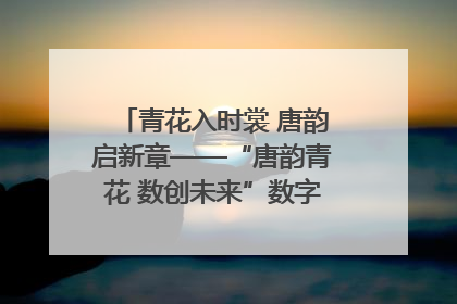 青花入时裳 唐韵启新章——“唐韵青花 数创未来”数字文创设计大赛启幕