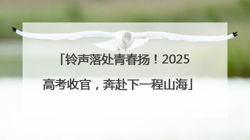 铃声落处青春扬！2025高考收官，奔赴下一程山海