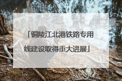 铜陵江北港铁路专用线建设取得重大进展