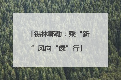 锡林郭勒：乘“新”风向“绿”行